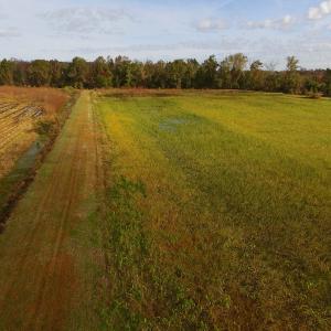 Photo of SOLD!  19.21 Acres of Hunting Land with Duck Impoundment For Sale in Hyde County NC!