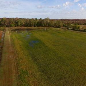 Photo of SOLD!  19.21 Acres of Hunting Land with Duck Impoundment For Sale in Hyde County NC!
