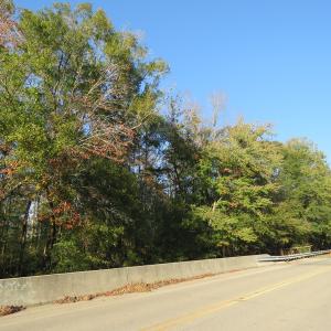 Photo of UNDER CONTRACT!  122 Acres of Duck Hunting Land For Sale in Robeson County NC!