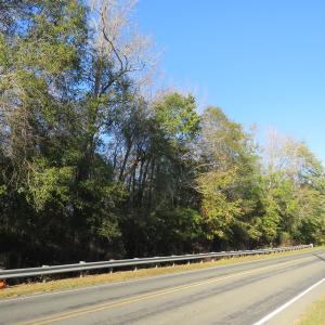 Photo of UNDER CONTRACT!  122 Acres of Duck Hunting Land For Sale in Robeson County NC!