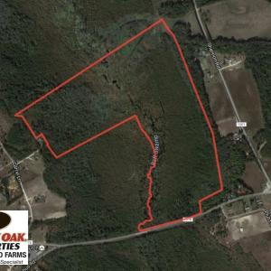 Photo of UNDER CONTRACT!  122 Acres of Duck Hunting Land For Sale in Robeson County NC!