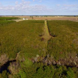 Photo of SOLD!  2 Acre Residential Lot for Sale in Hyde County NC!