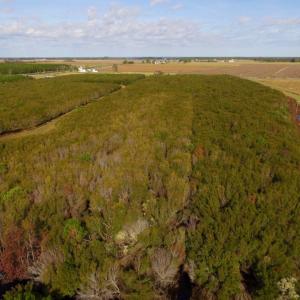 Photo of SOLD!  2 Acre Residential Lot for Sale in Hyde County NC!