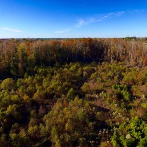 Photo of UNDER CONTRACT!  23 Acres Hunting and Residential Land For Sale in Beaufort County NC!