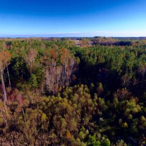 Photo of UNDER CONTRACT!  23 Acres Hunting and Residential Land For Sale in Beaufort County NC!