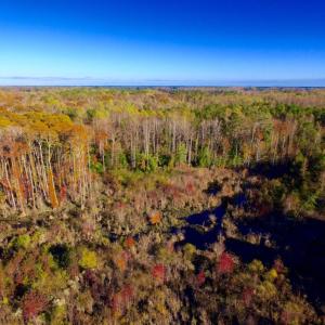 Photo of UNDER CONTRACT!  23 Acres Hunting and Residential Land For Sale in Beaufort County NC!