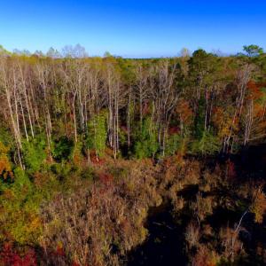 Photo of UNDER CONTRACT!  23 Acres Hunting and Residential Land For Sale in Beaufort County NC!