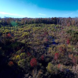 Photo of UNDER CONTRACT!  23 Acres Hunting and Residential Land For Sale in Beaufort County NC!