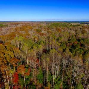Photo of UNDER CONTRACT!  23 Acres Hunting and Residential Land For Sale in Beaufort County NC!