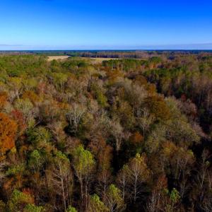 Photo of UNDER CONTRACT!  23 Acres Hunting and Residential Land For Sale in Beaufort County NC!