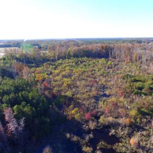 Photo of UNDER CONTRACT!  23 Acres Hunting and Residential Land For Sale in Beaufort County NC!