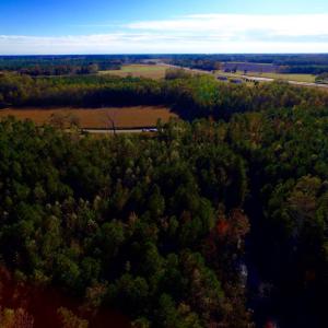 Photo of UNDER CONTRACT!  23 Acres Hunting and Residential Land For Sale in Beaufort County NC!