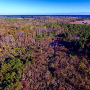 Photo of UNDER CONTRACT!  23 Acres Hunting and Residential Land For Sale in Beaufort County NC!