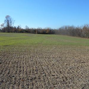 Photo of SOLD!  23.75 Acres of Residential Farm Land For Sale in Westmoreland County VA!