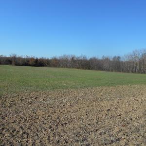 Photo of SOLD!  23.75 Acres of Residential Farm Land For Sale in Westmoreland County VA!