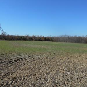 Photo of SOLD!  23.75 Acres of Residential Farm Land For Sale in Westmoreland County VA!