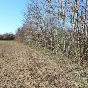 Photo of SOLD!  23.75 Acres of Residential Farm Land For Sale in Westmoreland County VA!