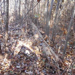 Photo of SOLD!  23.75 Acres of Residential Farm Land For Sale in Westmoreland County VA!