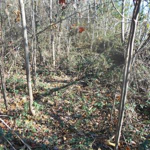 Photo of SOLD!  23.75 Acres of Residential Farm Land For Sale in Westmoreland County VA!