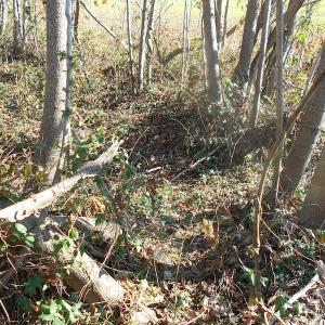 Photo of SOLD!  23.75 Acres of Residential Farm Land For Sale in Westmoreland County VA!