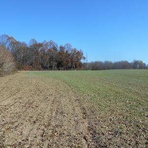 Photo of SOLD!  23.75 Acres of Residential Farm Land For Sale in Westmoreland County VA!