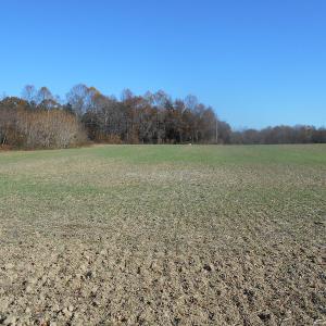 Photo of SOLD!  23.75 Acres of Residential Farm Land For Sale in Westmoreland County VA!