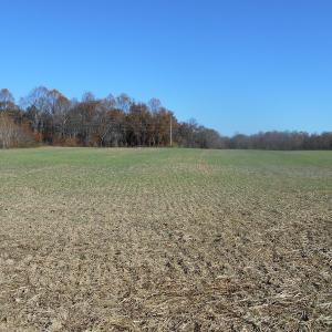 Photo of SOLD!  23.75 Acres of Residential Farm Land For Sale in Westmoreland County VA!