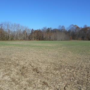 Photo of SOLD!  23.75 Acres of Residential Farm Land For Sale in Westmoreland County VA!