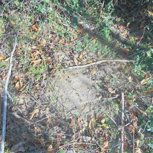 Photo of SOLD!  23.75 Acres of Residential Farm Land For Sale in Westmoreland County VA!