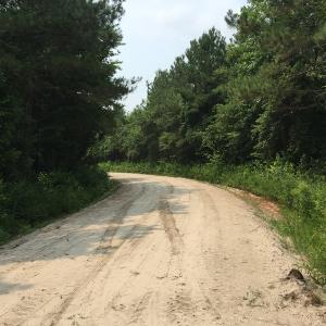 Photo of SOLD!  26 Acres of Timber Land For Sale in Jones County NC!