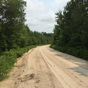 Photo of SOLD!  26 Acres of Timber Land For Sale in Jones County NC!