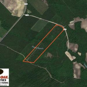 Photo of SOLD!  26 Acres of Timber Land For Sale in Jones County NC!