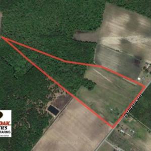 Photo of SOLD!  31 acres of Farm and Timber Land in Chowan County NC!