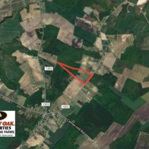 Photo of SOLD!  31 acres of Farm and Timber Land in Chowan County NC!