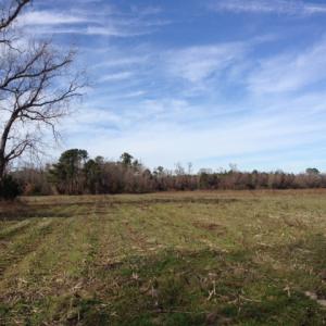 Photo of SOLD!  31 acres of Farm and Timber Land in Chowan County NC!