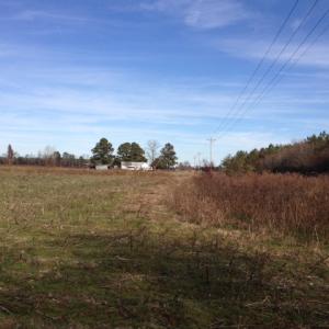 Photo of SOLD!  31 acres of Farm and Timber Land in Chowan County NC!