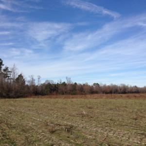 Photo of SOLD!  31 acres of Farm and Timber Land in Chowan County NC!