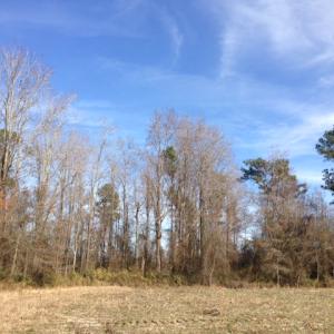 Photo of SOLD!  31 acres of Farm and Timber Land in Chowan County NC!