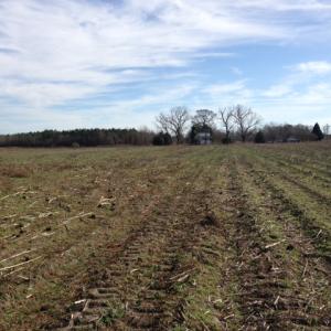 Photo of SOLD!  31 acres of Farm and Timber Land in Chowan County NC!