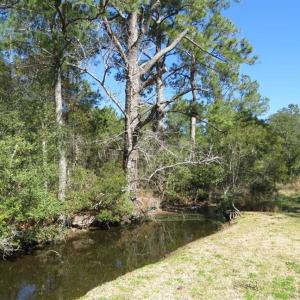 Photo of REDUCED!  41 Acres of River Front Hunting Land For Sale in Carteret County NC!
