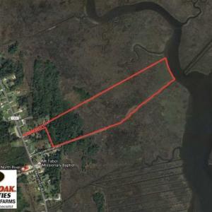 Photo of REDUCED!  41 Acres of River Front Hunting Land For Sale in Carteret County NC!