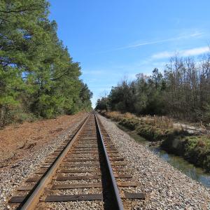 Photo of UNDER CONTRACT!  12 Acres of Timber and Residential Land For Sale in Bladen County NC!