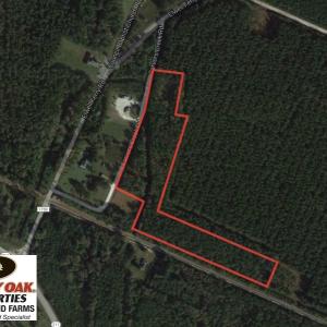 Photo of UNDER CONTRACT!  12 Acres of Timber and Residential Land For Sale in Bladen County NC!