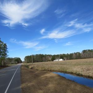 Photo of UNDER CONTRACT!  193 Acres of Farm and Timber Land For Sale in Columbus County NC!