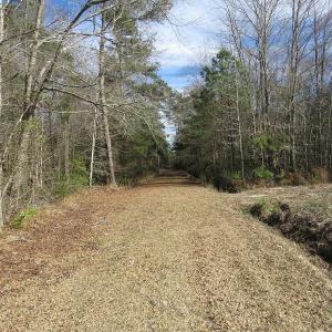 Photo of UNDER CONTRACT!  193 Acres of Farm and Timber Land For Sale in Columbus County NC!