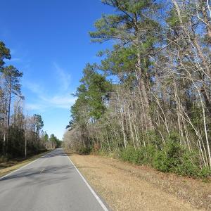 Photo of UNDER CONTRACT!  193 Acres of Farm and Timber Land For Sale in Columbus County NC!