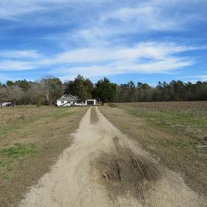 Photo of UNDER CONTRACT!  193 Acres of Farm and Timber Land For Sale in Columbus County NC!
