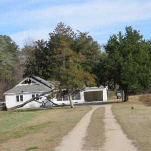 Photo of UNDER CONTRACT!  193 Acres of Farm and Timber Land For Sale in Columbus County NC!