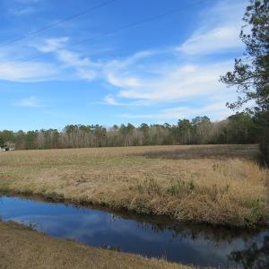 Photo of UNDER CONTRACT!  193 Acres of Farm and Timber Land For Sale in Columbus County NC!