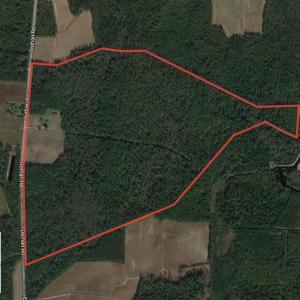 Photo of UNDER CONTRACT!  193 Acres of Farm and Timber Land For Sale in Columbus County NC!